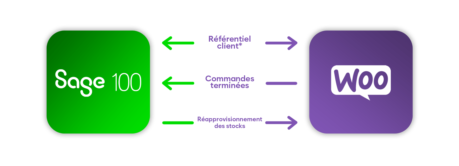 sage 100 to woo commerce